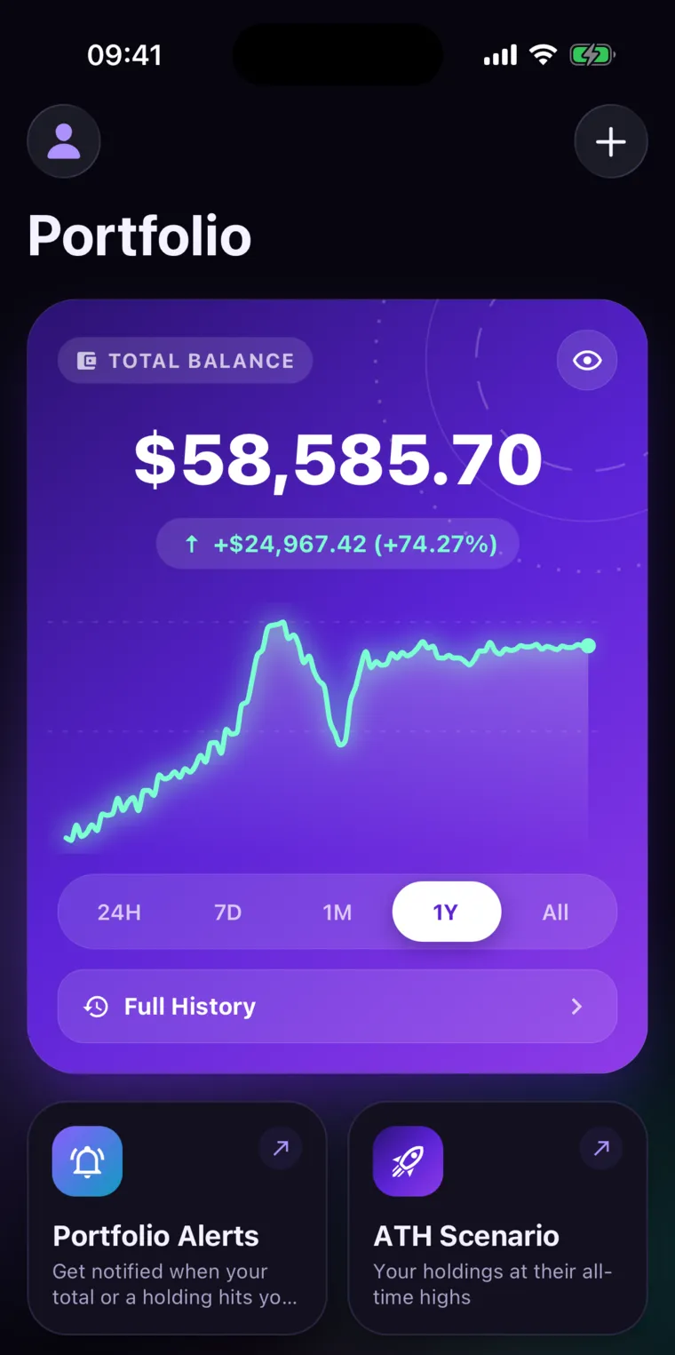 Home: the total balance of every exchange and wallet with a one-year chart
